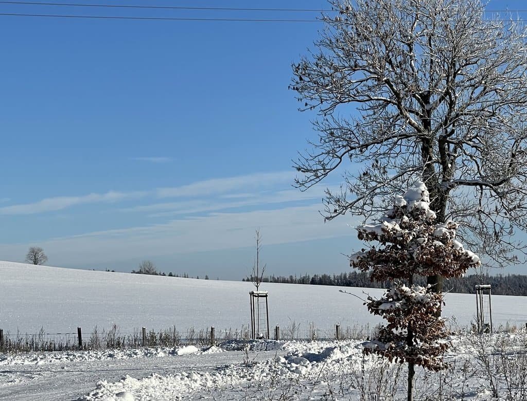 a9846-apartmany-max-20231213-010826-7567