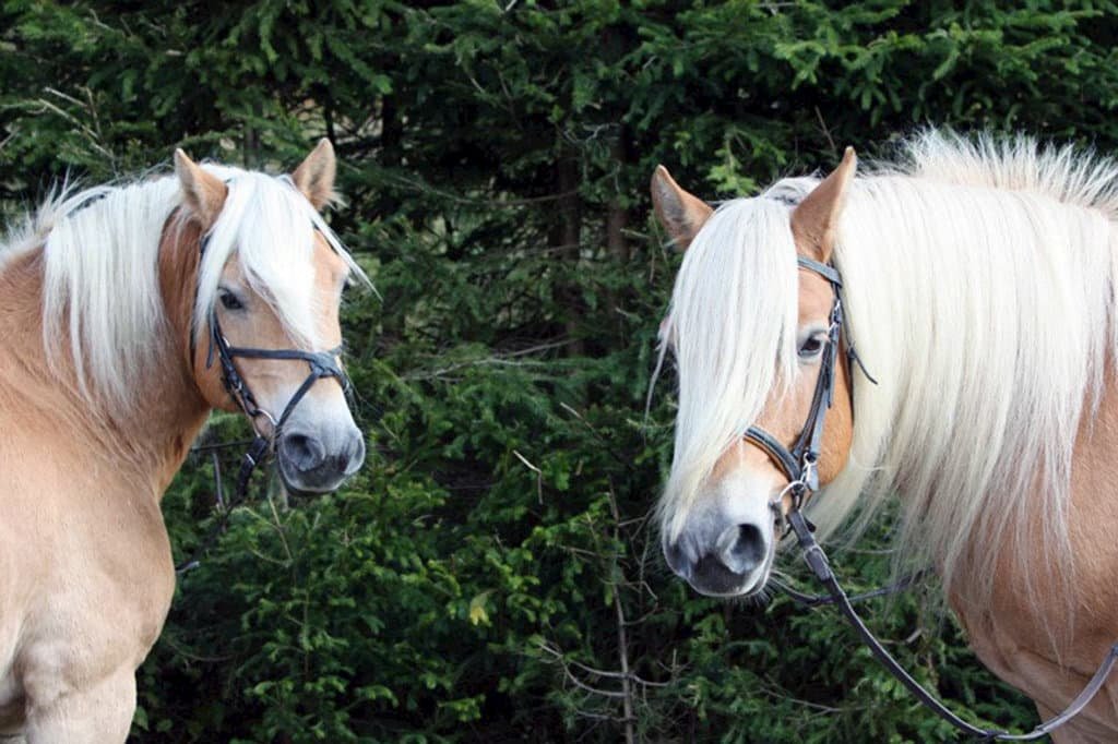 a7749-privat-petr-20231213-010221-3365