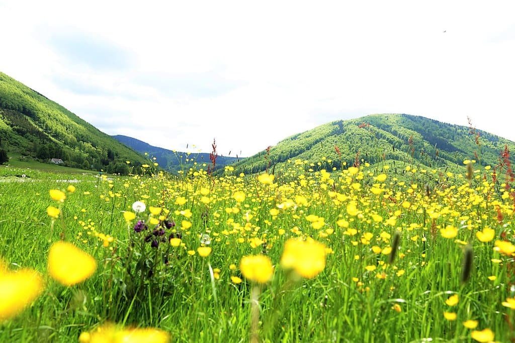 a8710-hotel-maralak-20231213-010352-3333