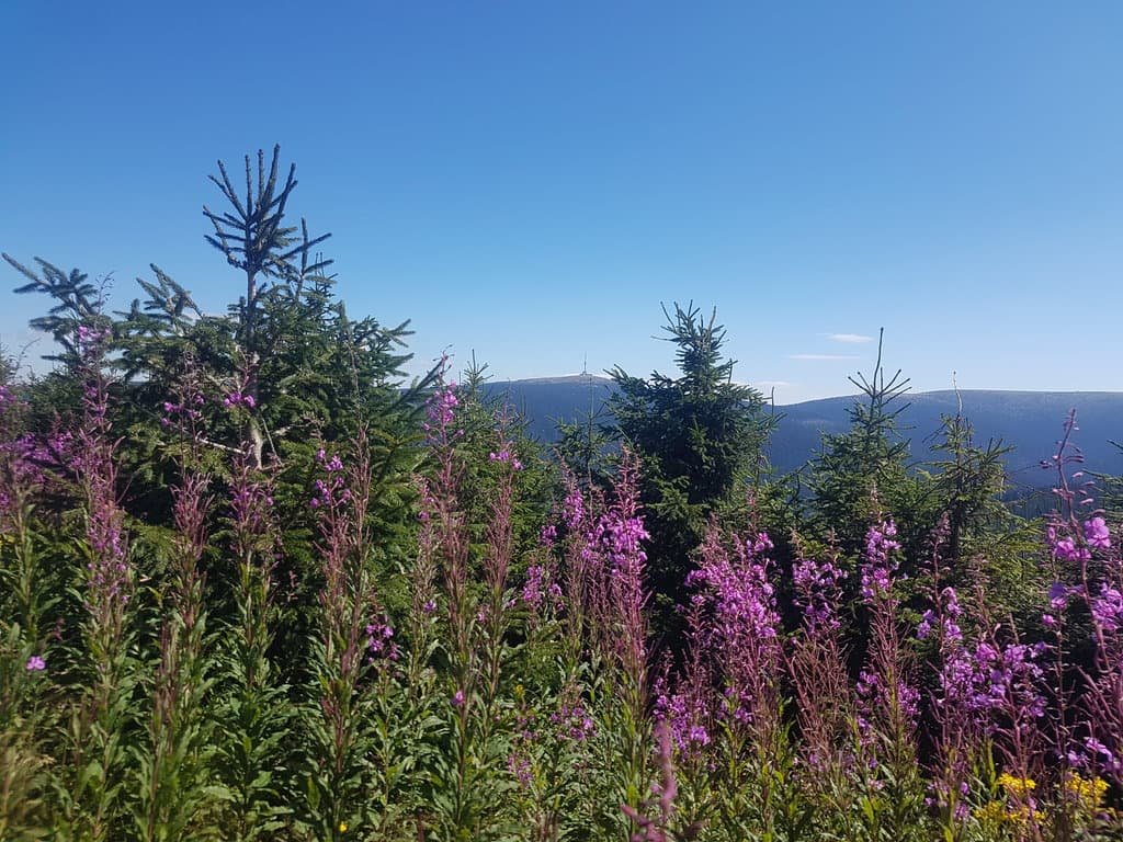 a9914-horska-roubenka-stribrnice-20231213-010540-1253