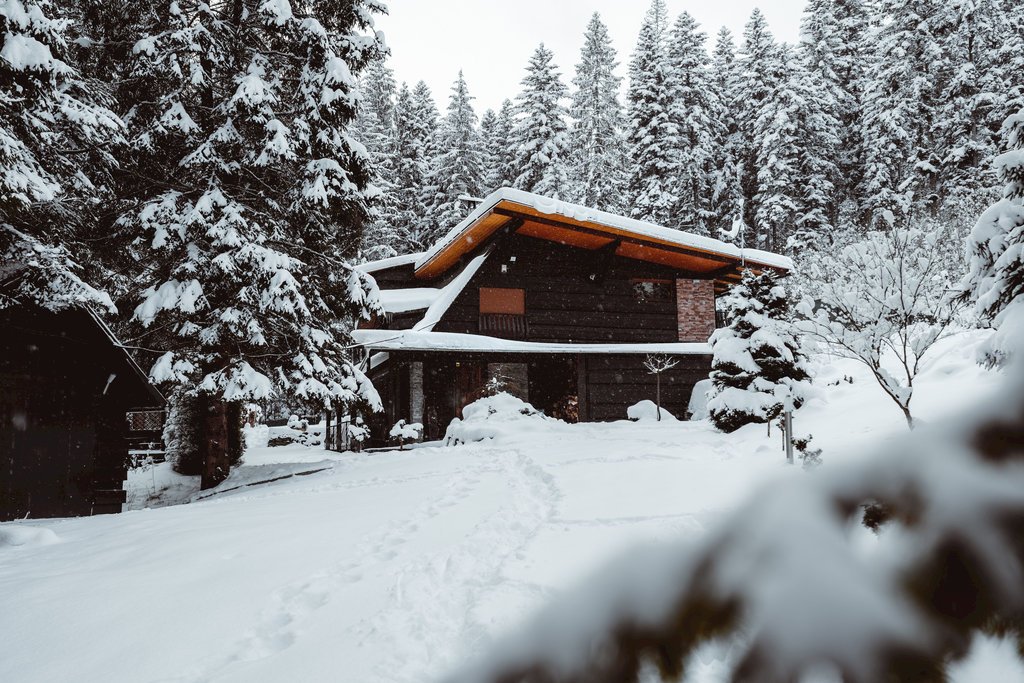 chata v srdci lesa — foto 3