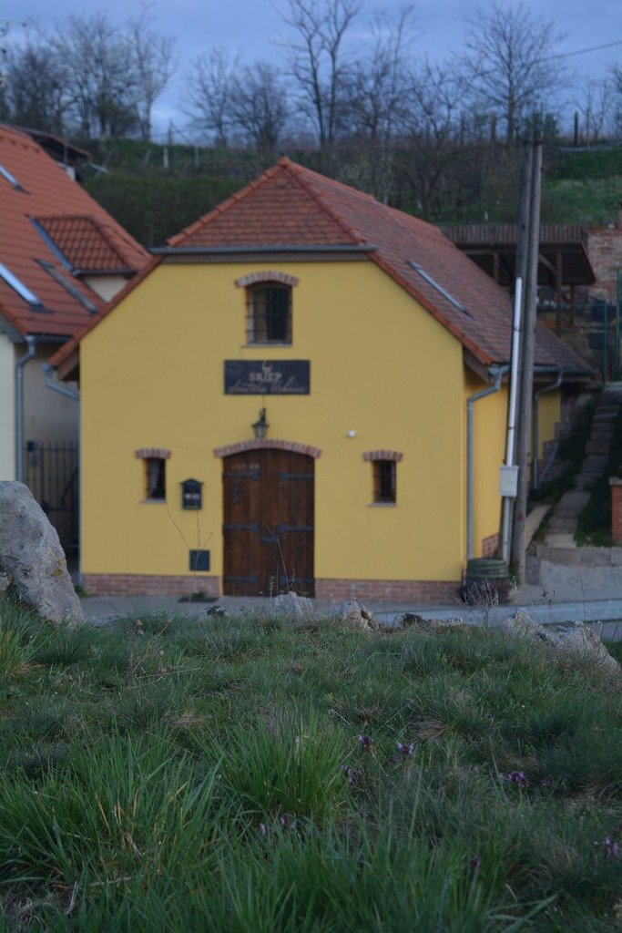 vinarstvi ales ruzicka