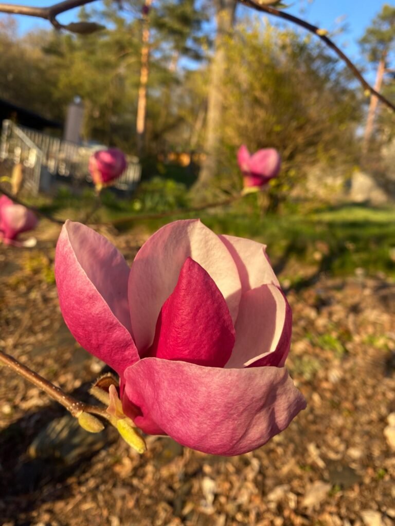 penzion janata — foto 3