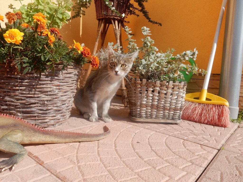 ubytovanie u ladislava vo vrbove — foto 3