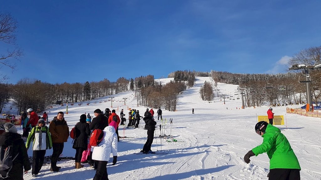 apartman alfa 11 — foto 7