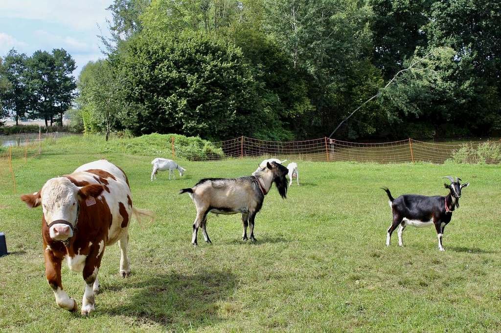 chalupa vojtisek — foto 7