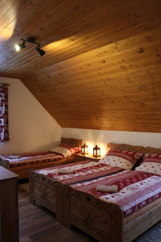 pinus cembra — foto 2