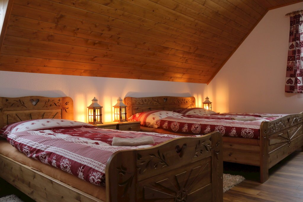 pinus cembra — foto 5