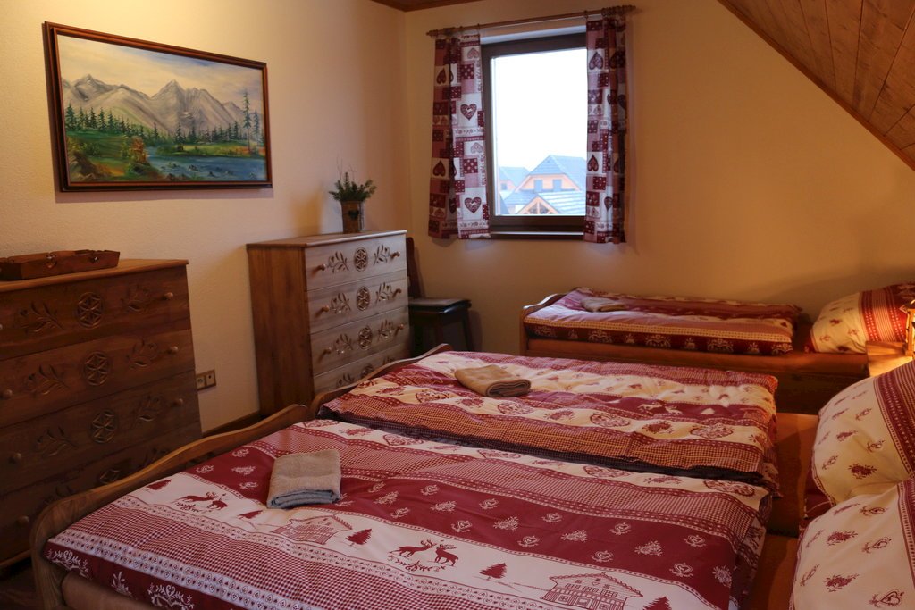 pinus cembra — foto 4