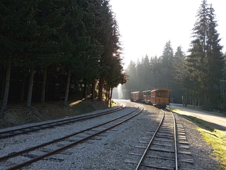 chata flora oravska lesna