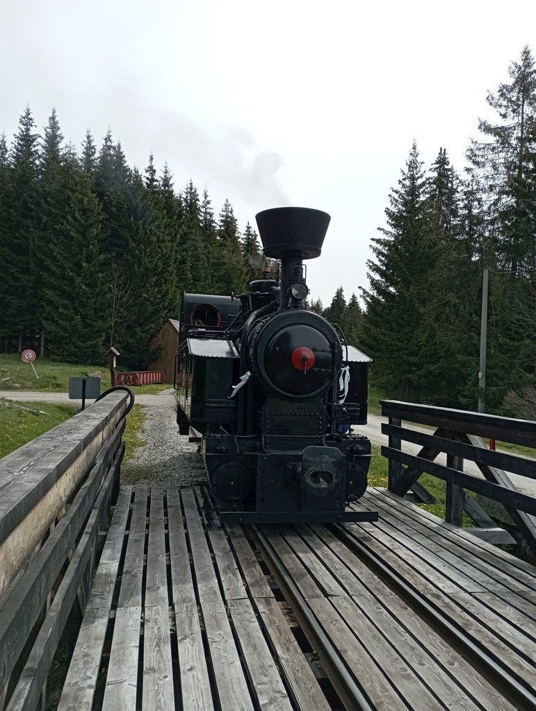 chata flora oravska lesna — foto 2