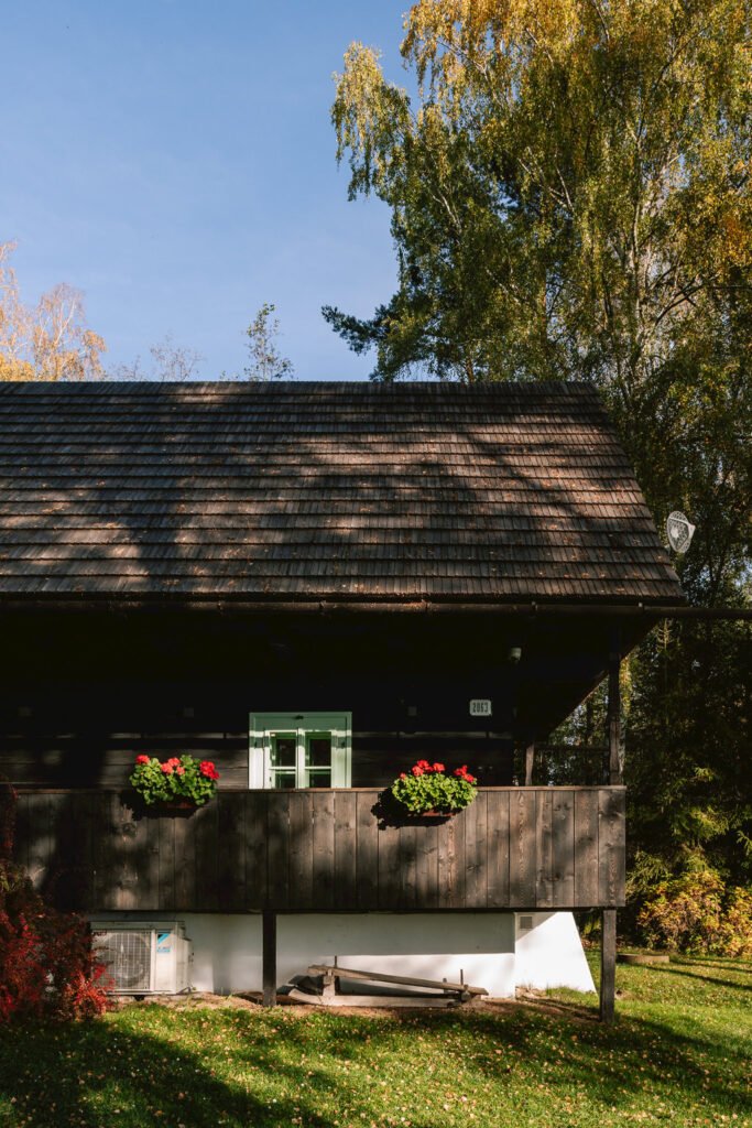 hniezdo pri vode — foto 6