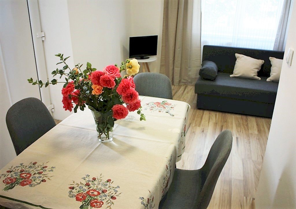 apartmanova chata maria — foto 5