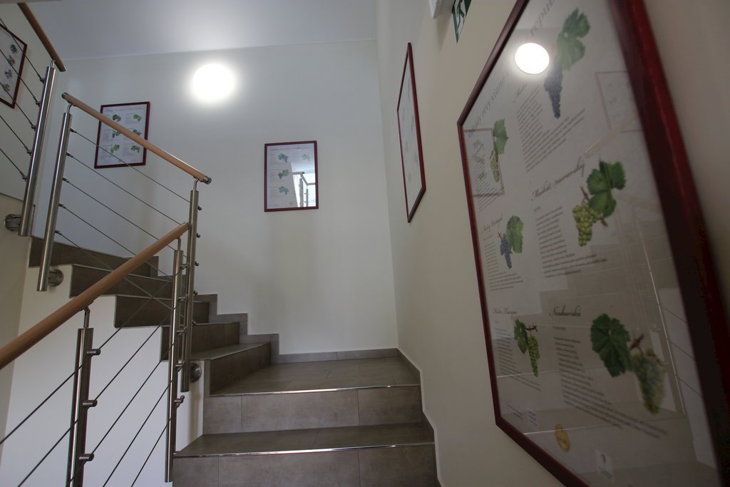 Comenius moravus vinarsky dvur — foto 5