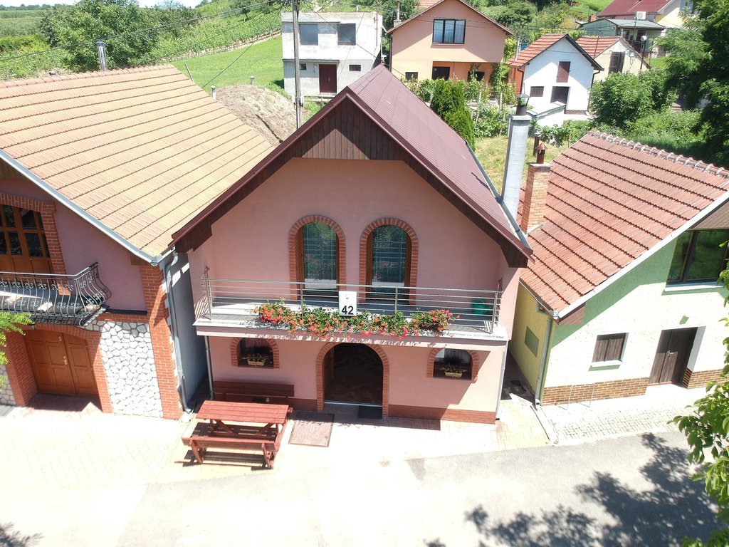 Vinny sklipek na vyhlidce — foto 6