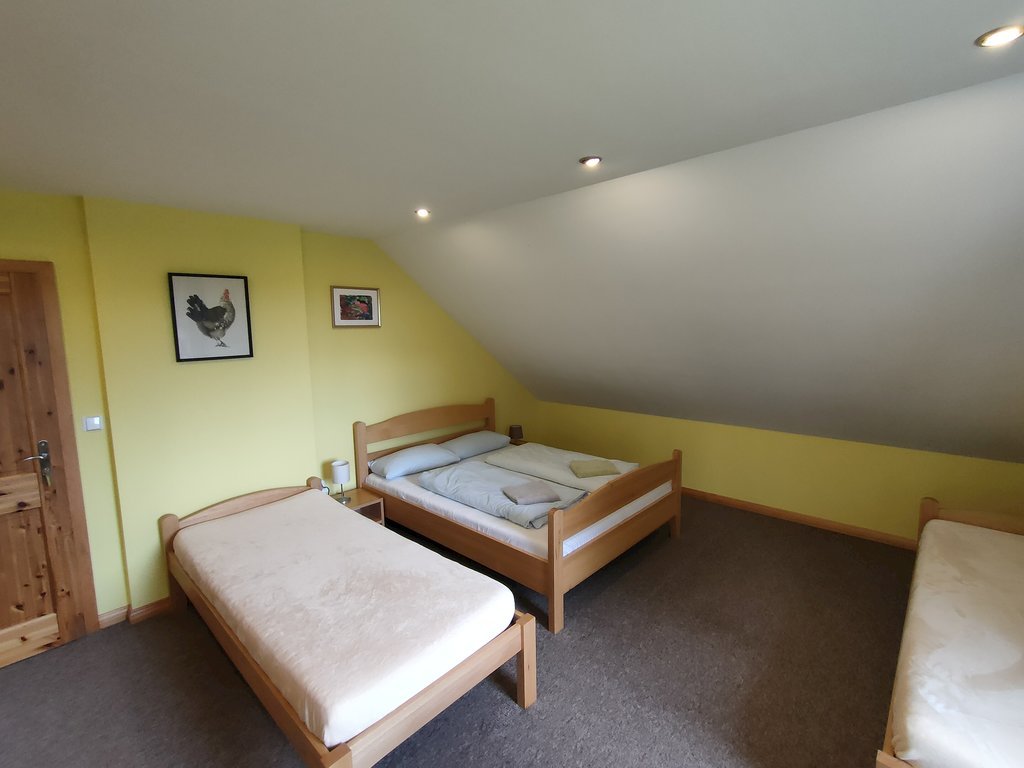 rideczech guesthouse a cykloservis — foto 3