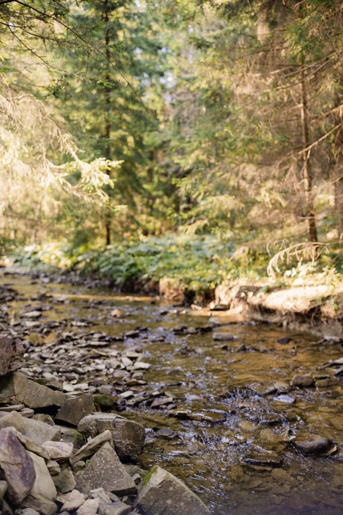 pernikova chalupka oravska lesna — foto 8