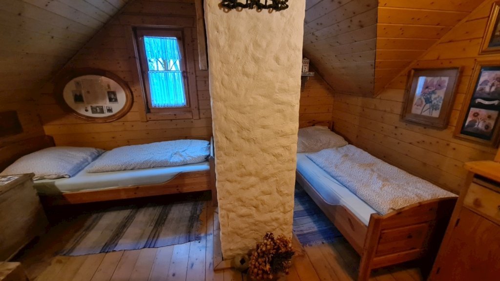 Roubenka zitkova — foto 4
