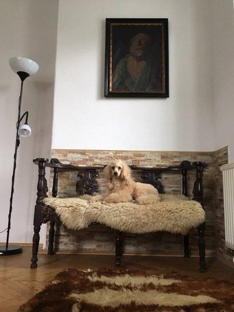 jesenicky domecek — foto 2