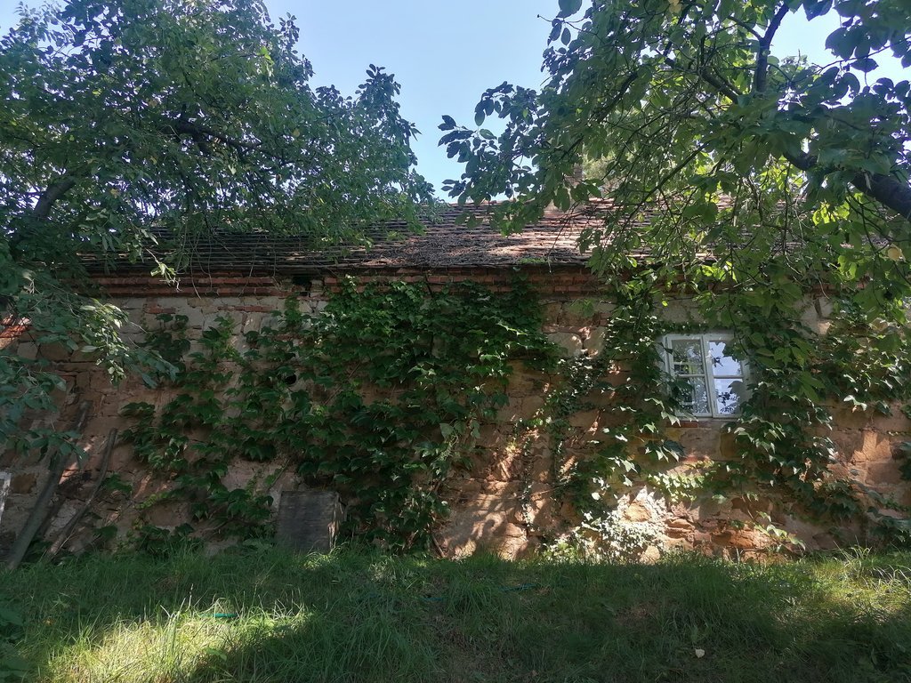 chalupa u lesa velka cernoc — foto 2