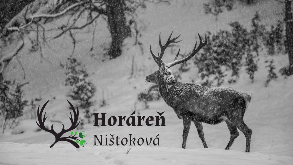 Chalupa horaren nistokova — foto 8