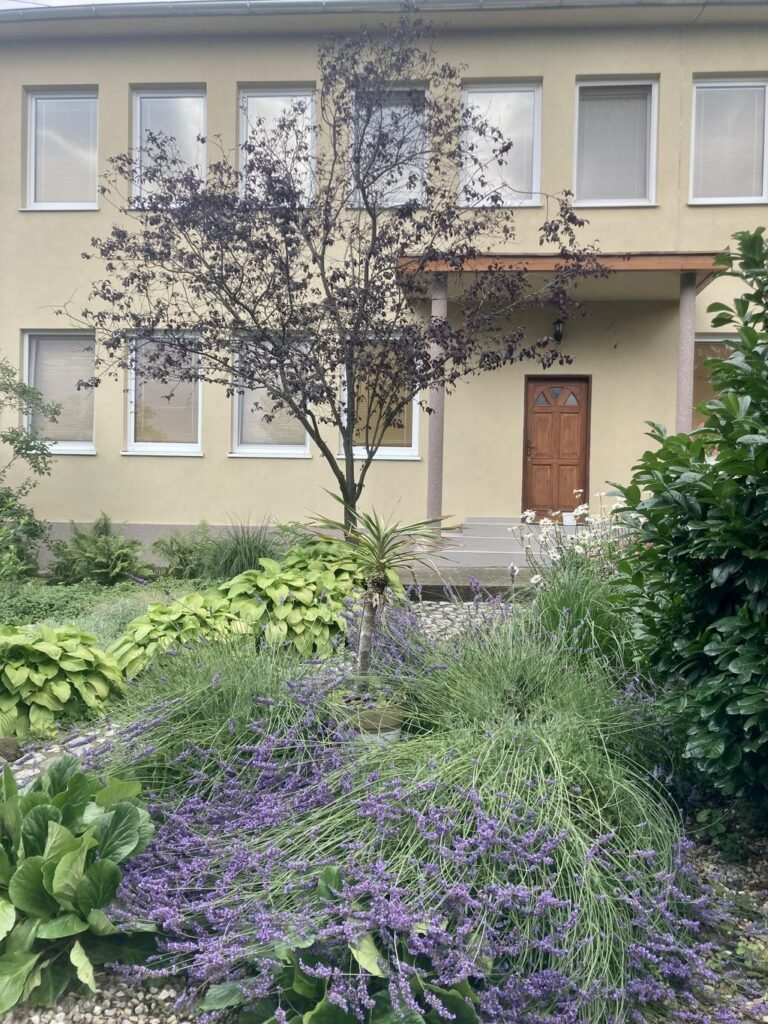 vidiecky dvor — foto 2