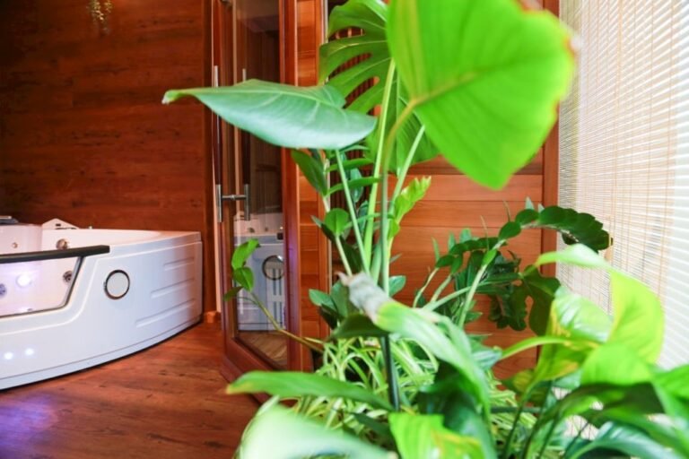 apartman wellness sedmihorky