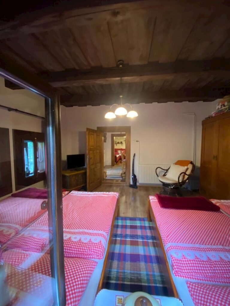 malovana drevenicka cicmany