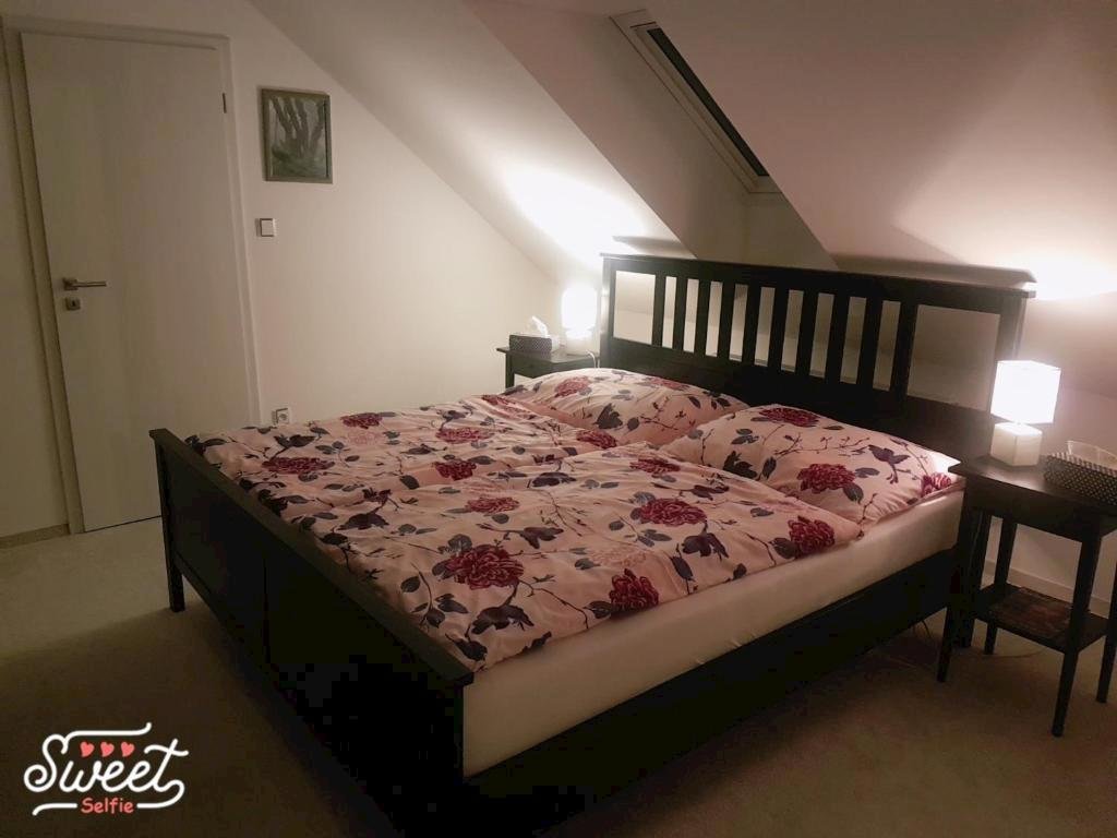 ubytovani u spacku palava — foto 5