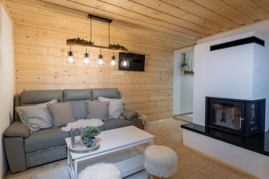 chata pod zelenym stromom