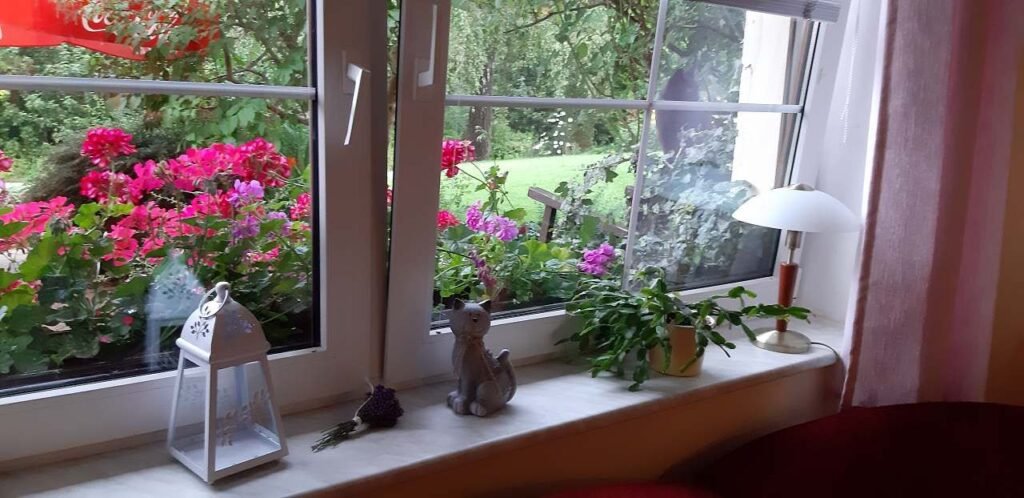 apartman 48 — foto 8