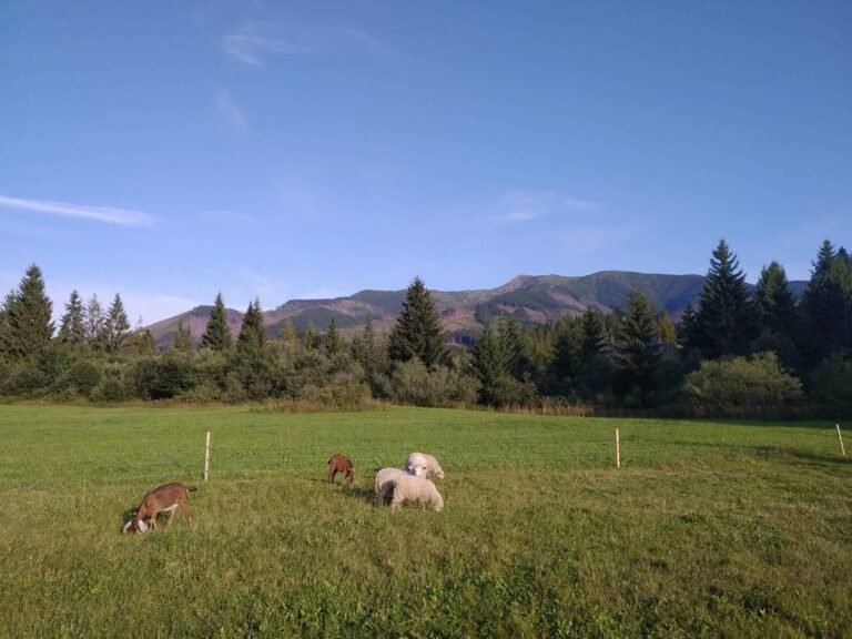 chalupa penzion prieves