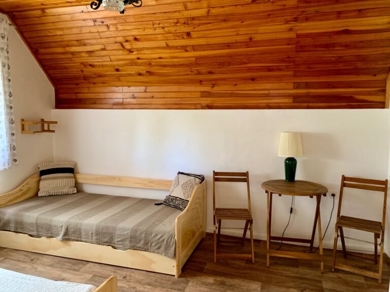 chalupa dolni vestonice