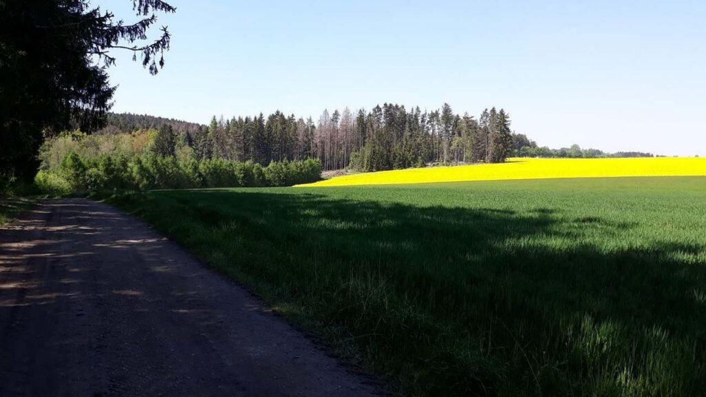 Vejminek pod lipou — foto 7