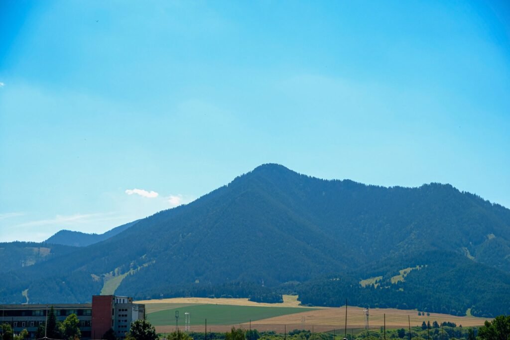 studio 22 — foto 4