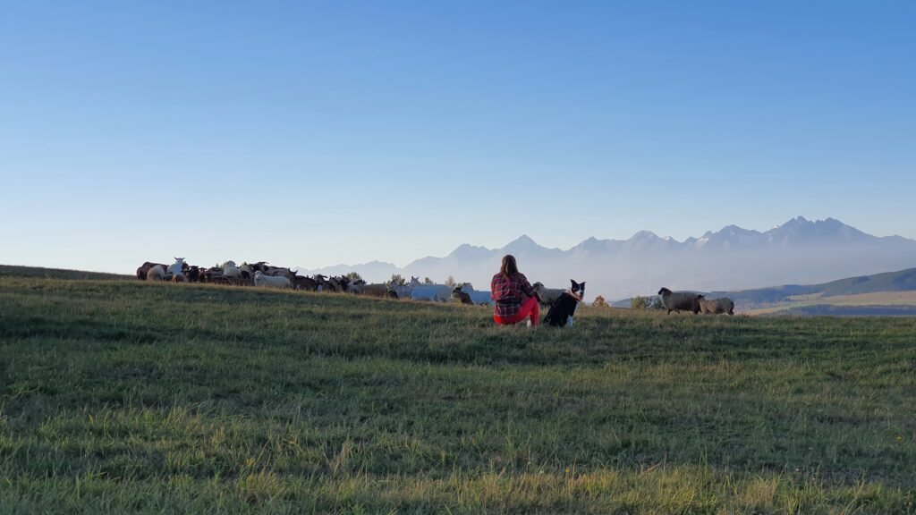 durkovec centrum — foto 3