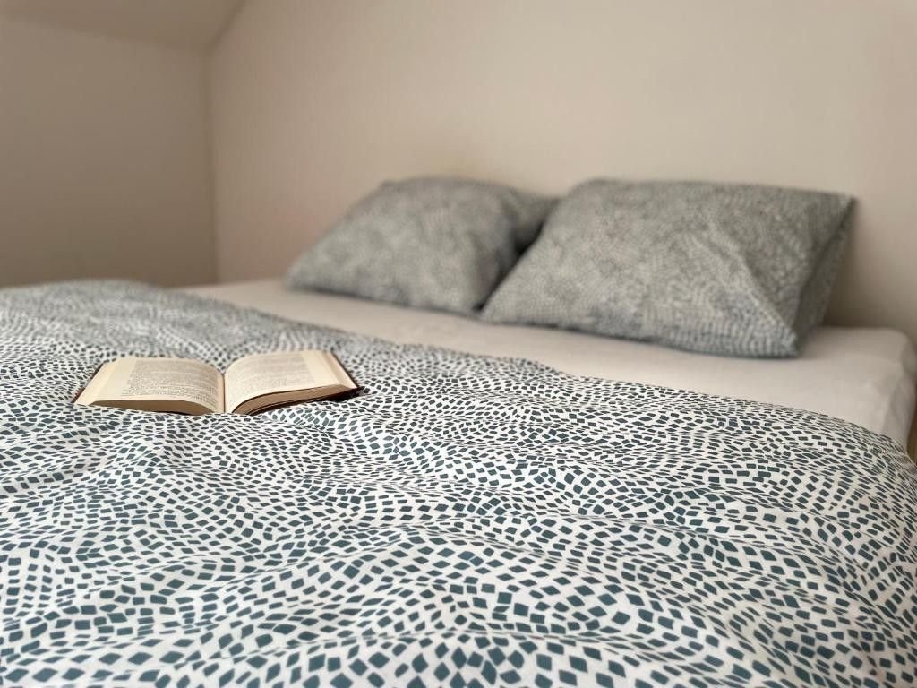 central apartment fun and teambuilding