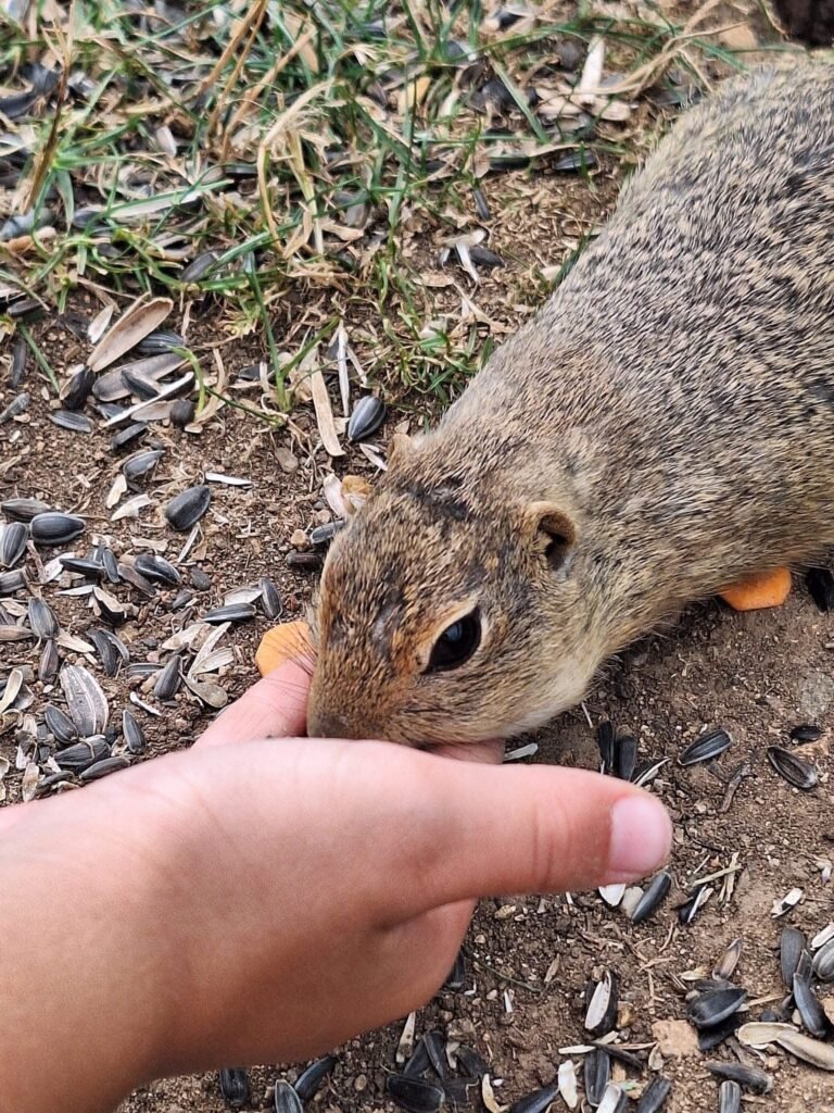 Chata muranka — foto 7