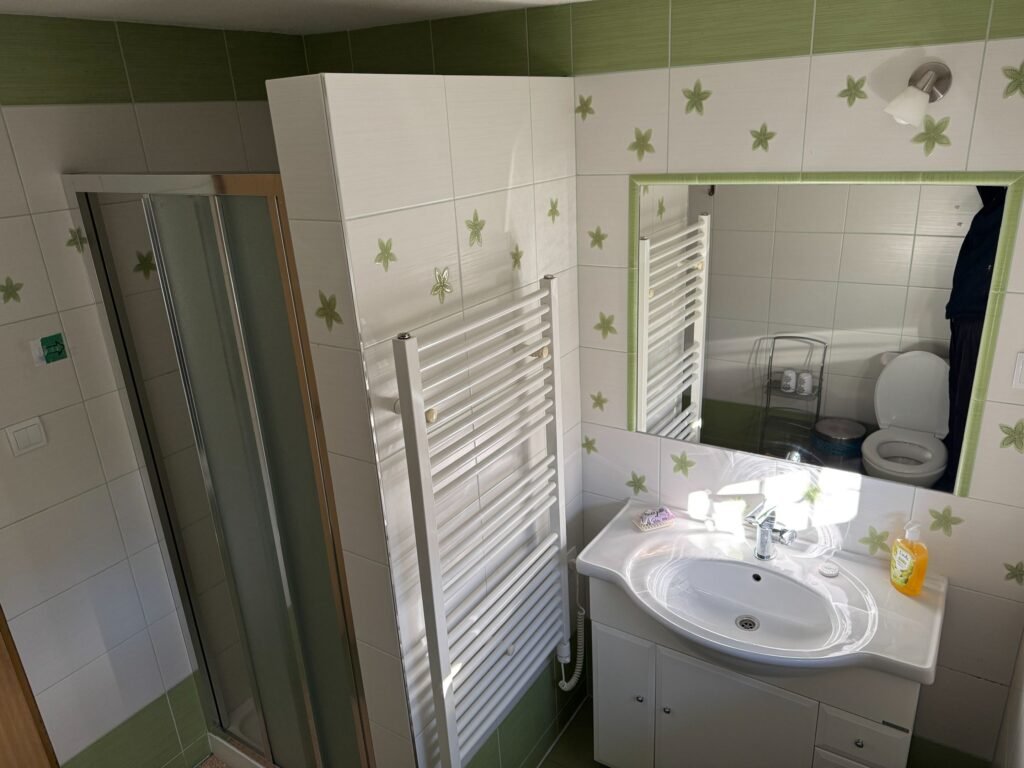 chata alpina 1 stara lesna