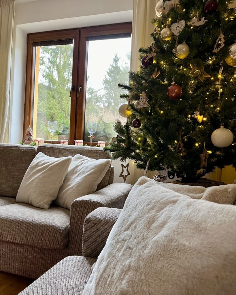 chata janet — foto 2