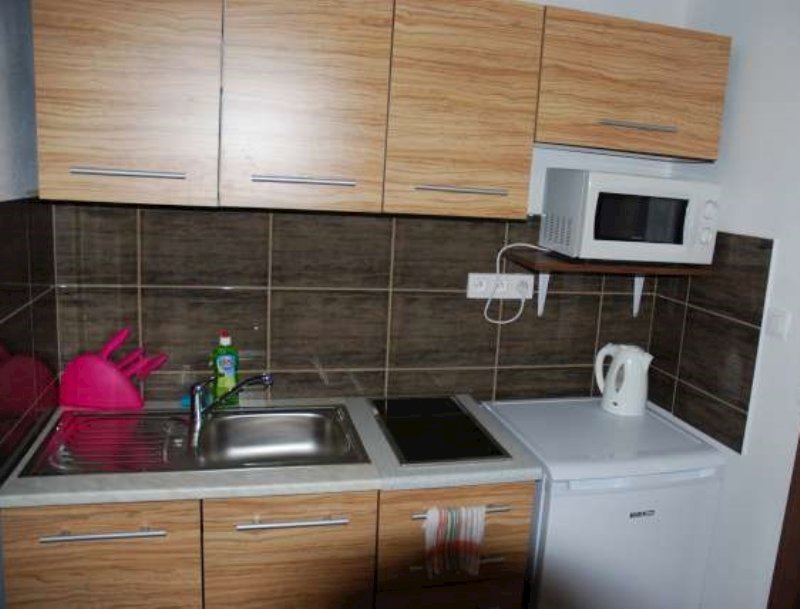 fridrich apartmany — foto 4