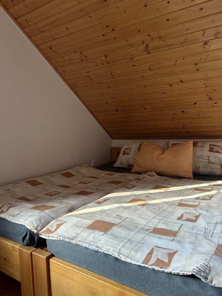apartman na samote u lesa — foto 2