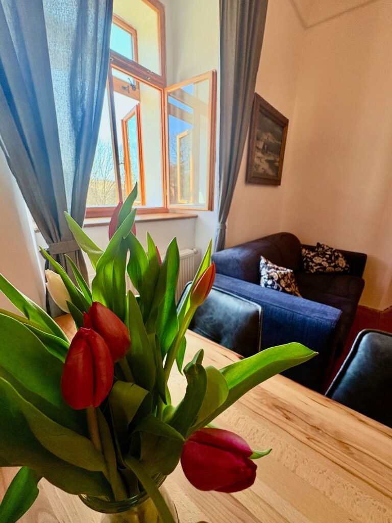 apartmany fara zdonov — foto 3