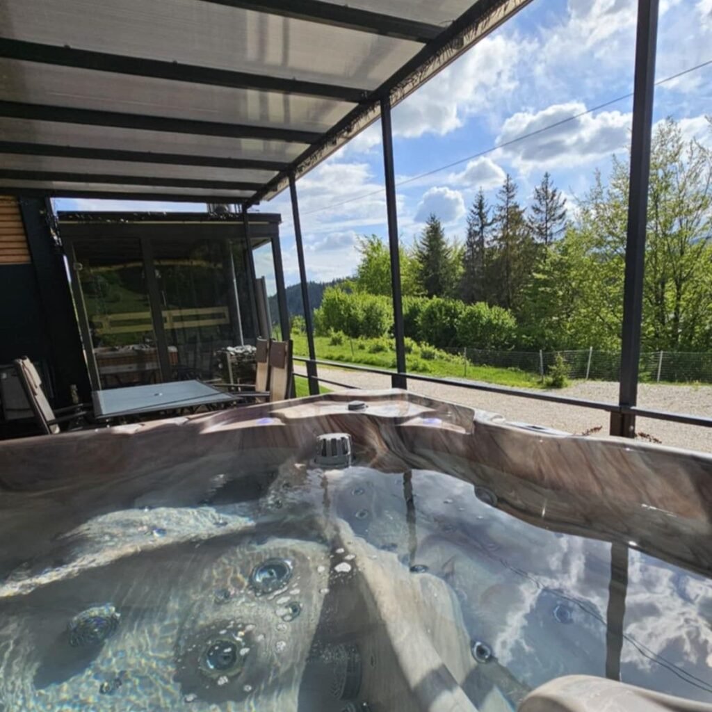 lake forest dedinky resort