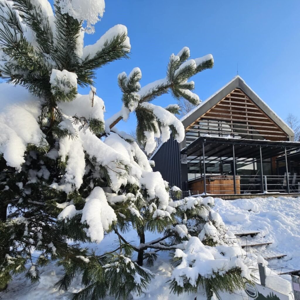 lake forest dedinky resort — foto 2