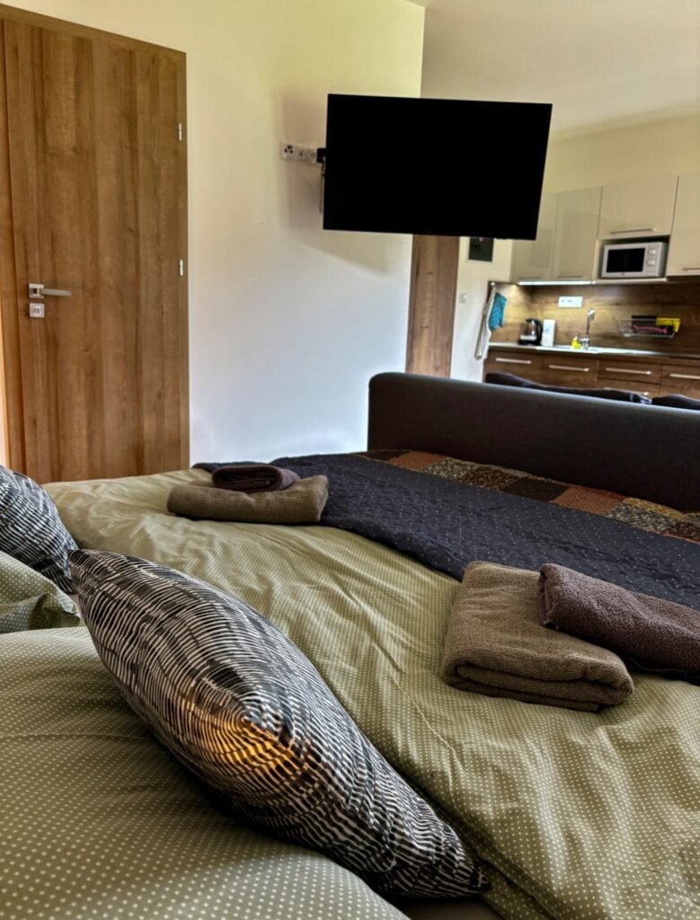 villa tatry panorama jacuzzi sauna — foto 8