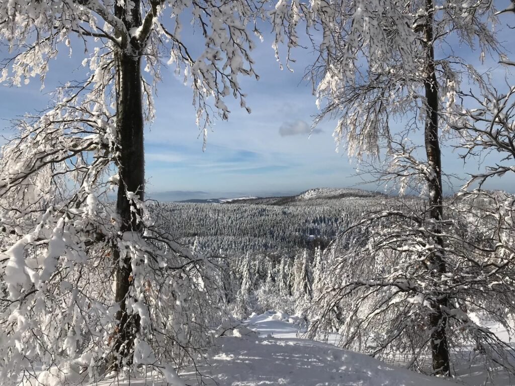 apartman cihadla — foto 5