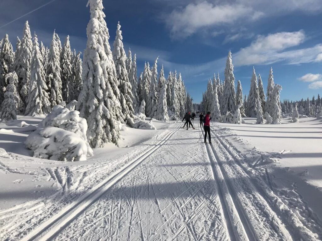 apartman cihadla — foto 3