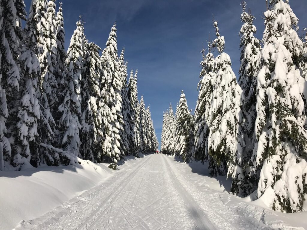 apartman cihadla — foto 4