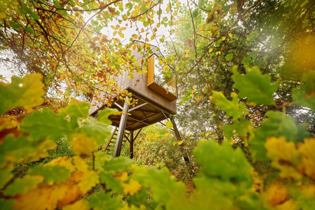 posed nad lesem — foto 4